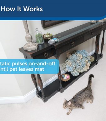 PetSafe-2.jpg